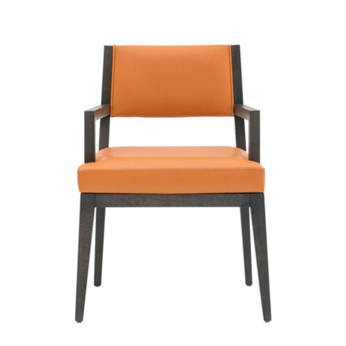 Flavio Dining Chair With Arms