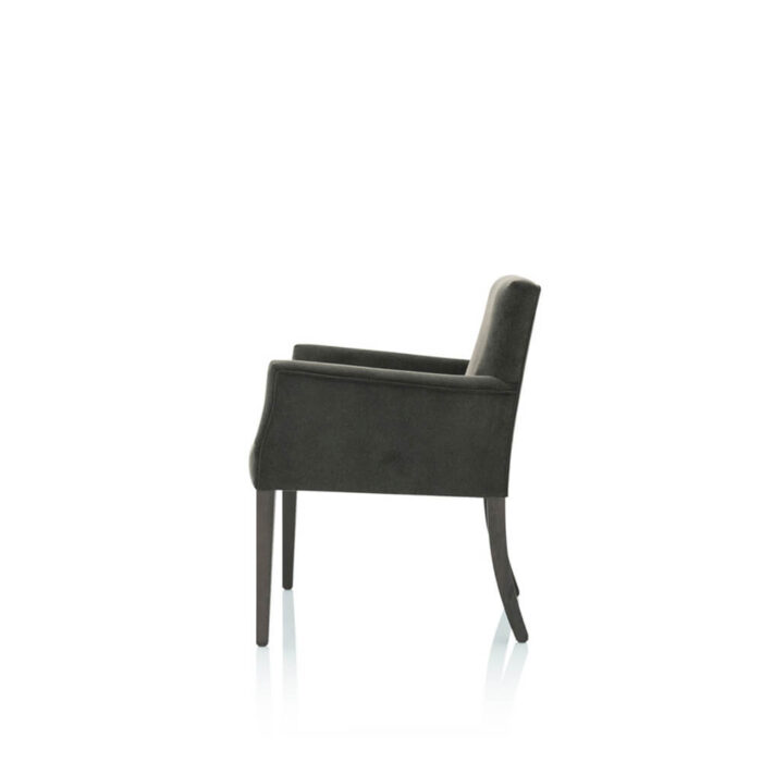 Luz Dining Chair With Arms