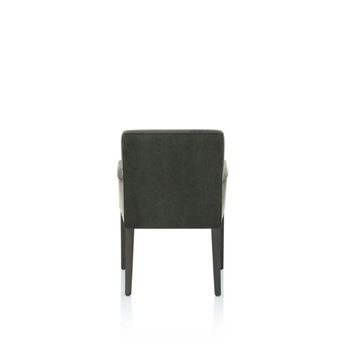 Luz Dining Chair With Arms
